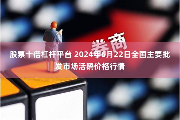 股票十倍杠杆平台 2024年6月22日全国主要批发市场活鹅价格行情