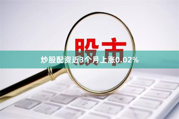 炒股配资近3个月上涨0.02%