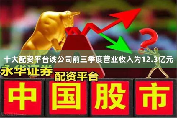 十大配资平台该公司前三季度营业收入为12.3亿元